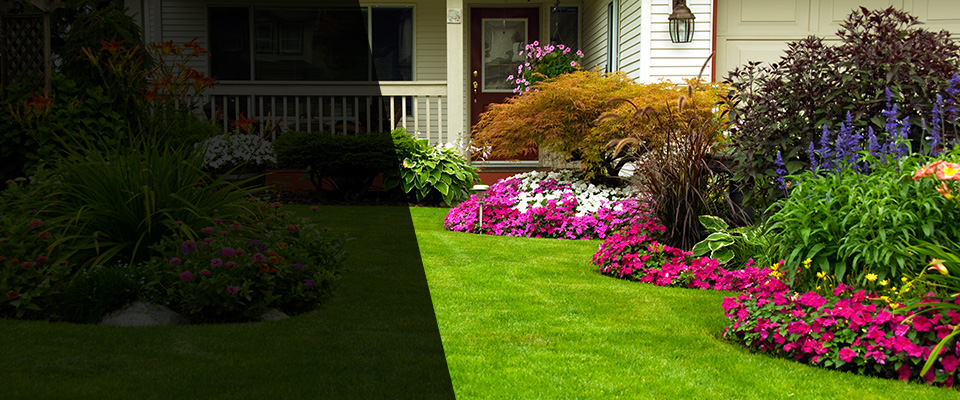 Connelly Landscapers