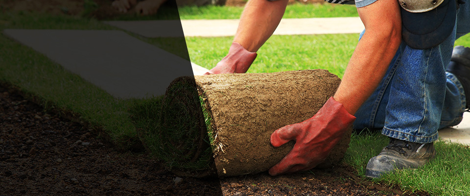 Connelly Landscapers